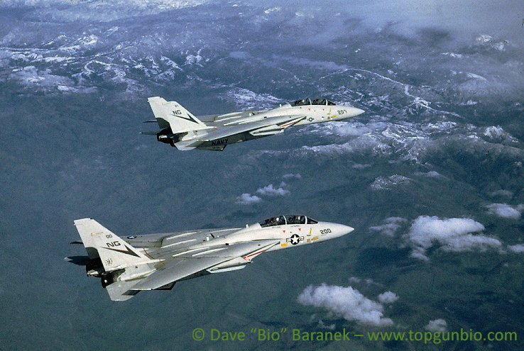 2 F-14 tomcats above mountainous terrain